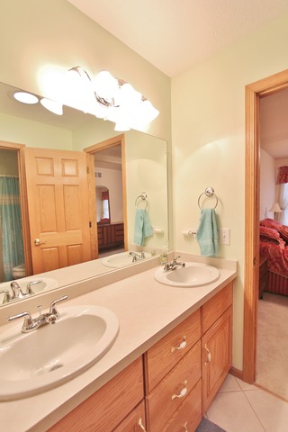 1496 Jo Lin St, Morris, IL 60450 photo 19