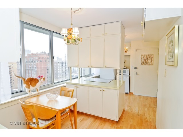 1 E Schiller St #18A, Chicago, IL 60610 photo 5