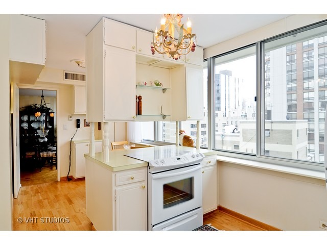 1 E Schiller St #18A, Chicago, IL 60610 photo 4