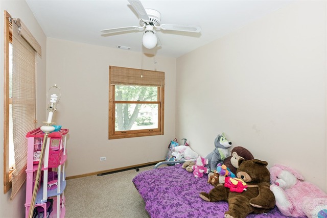 1339 White St, Des Plaines, IL 60018 photo 12