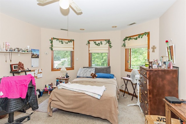 1339 White St, Des Plaines, IL 60018 photo 14