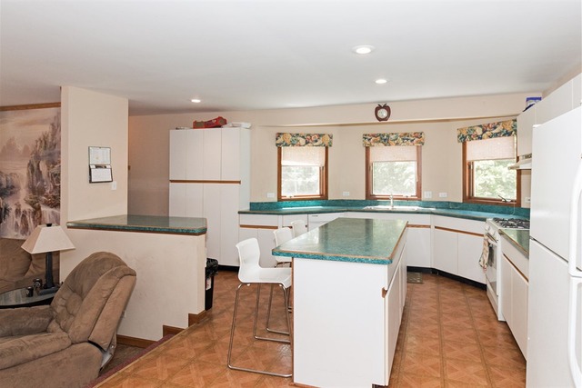 1339 White St, Des Plaines, IL 60018 photo 7