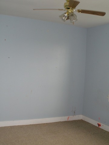 4103 E 7th Rd, Mendota, IL 61342 photo 7