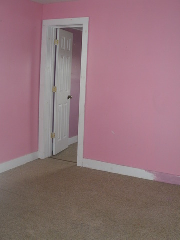 4103 E 7th Rd, Mendota, IL 61342 photo 8