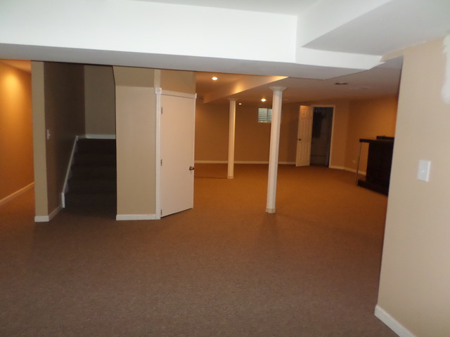 561 N 4th Ave, Addison, IL 60101 photo 20