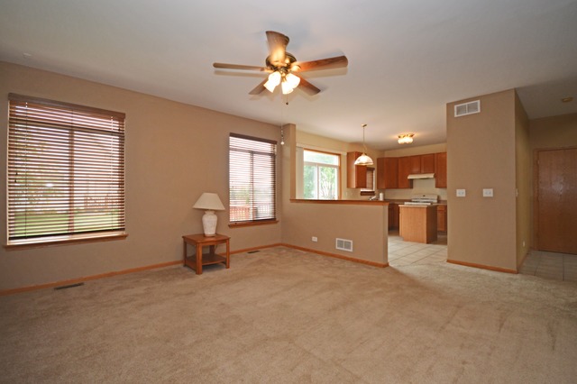 3011 Twin Falls Dr, Plainfield, IL 60586 photo 10
