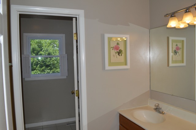 1608 Lois Ann Ln, Naperville, IL 60563 photo 19