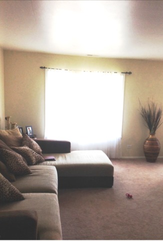 1700 Robin Ln #b, Hoffman Estates, IL 60169 photo 2