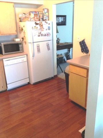 1700 Robin Ln #b, Hoffman Estates, IL 60169 photo 8