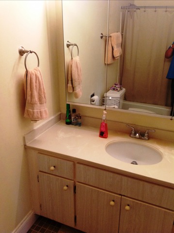 1700 Robin Ln #b, Hoffman Estates, IL 60169 photo 18