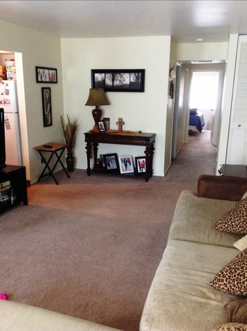 1700 Robin Ln #b, Hoffman Estates, IL 60169 photo 4
