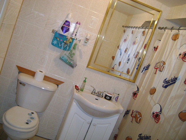 1338 Front St, Aurora, IL 60505 photo 8