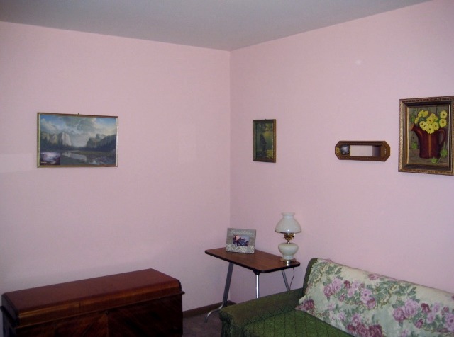 1500 10th St, Harvard, IL 60033 photo 13