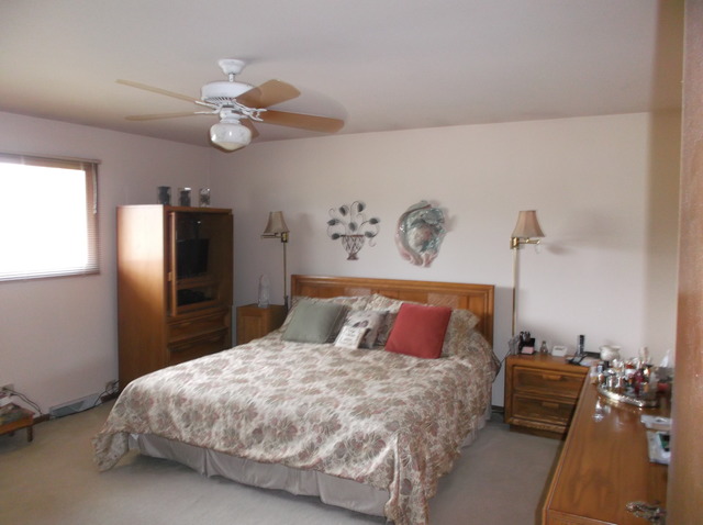 2980 190th Pl, Lansing, IL 60438 photo 9