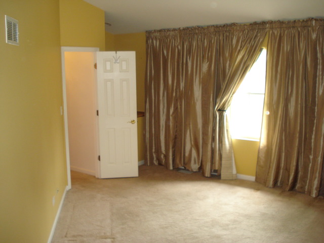 17510 S Richmond Rd, Plainfield, IL 60586 photo 19