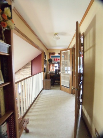 1724 Schey Ct, Naperville, IL 60565 photo 15