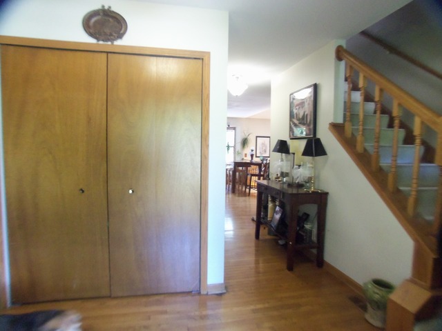 1724 Schey Ct, Naperville, IL 60565 photo 3