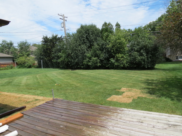 23 N Hamlin Ave, Park Ridge, IL 60068 photo 15