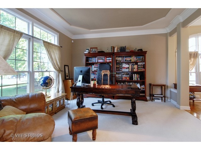 2819 Cordgrass Rd, Naperville, IL 60564 photo 2