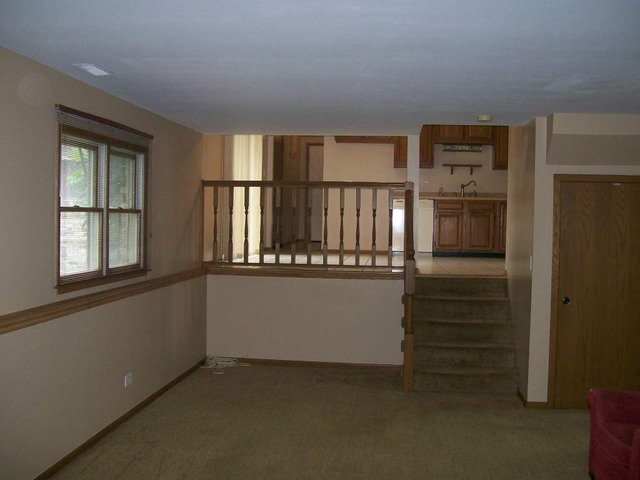 4206 Fern Ave, Lyons, IL 60534 photo 16