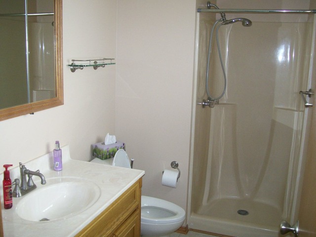 4206 Fern Ave, Lyons, IL 60534 photo 11