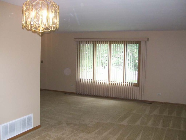 4206 Fern Ave, Lyons, IL 60534 photo 4