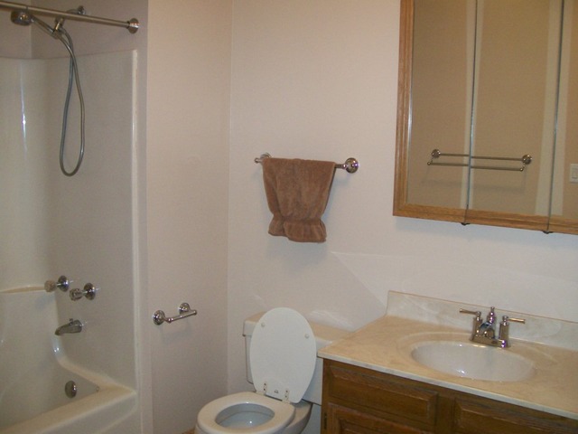 4206 Fern Ave, Lyons, IL 60534 photo 14