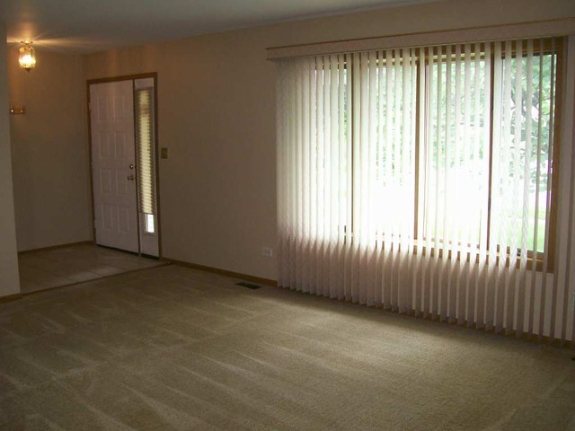 4206 Fern Ave, Lyons, IL 60534 photo 3