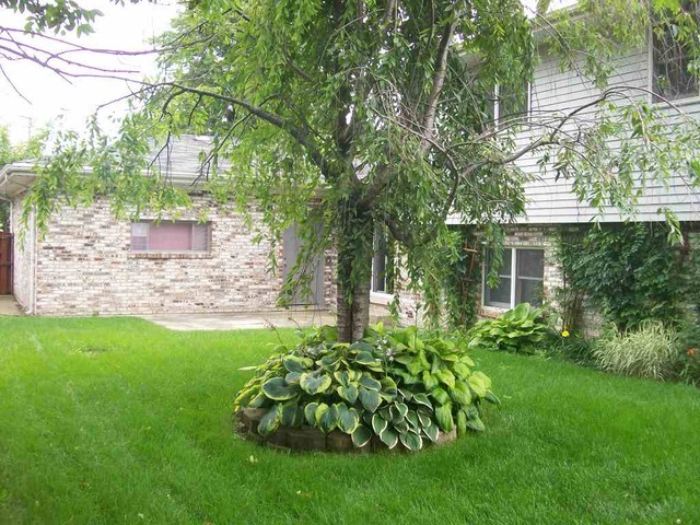 4206 Fern Ave, Lyons, IL 60534 photo 24