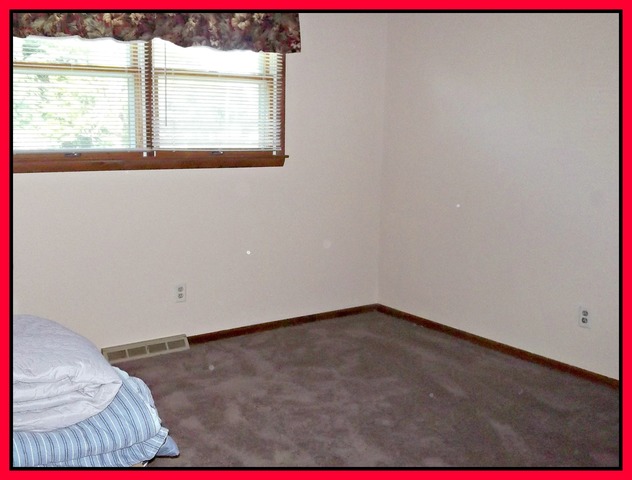15833 S Frederick Ave, Plainfield, IL 60544 photo 13