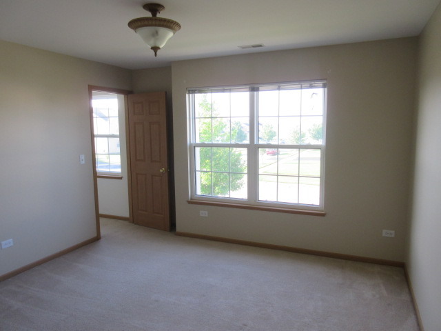 4544 W Iris Ln, Monee, IL 60449 photo 5