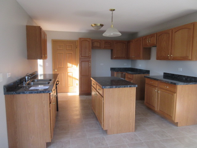 4544 W Iris Ln, Monee, IL 60449 photo 3