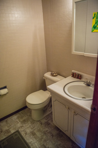 511 Devon Dr, Dyer, IN 46311 photo 10