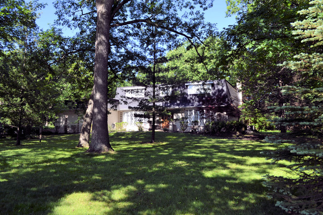 23000 Mach Dr, Steger, IL 60475 photo 2