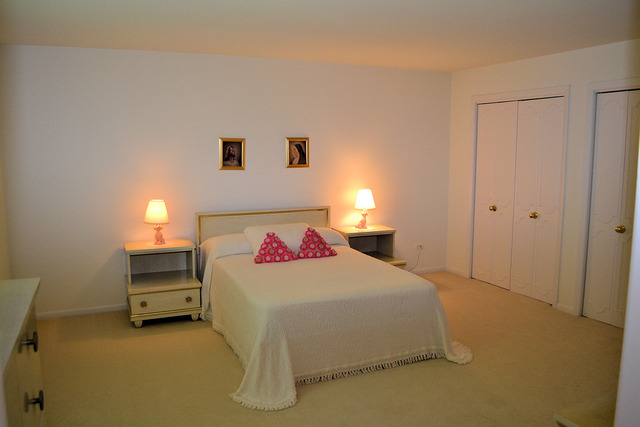 23000 Mach Dr, Steger, IL 60475 photo 20