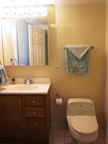 2052 E Parkview Cir, Hoffman Estates, IL 60169 photo 17