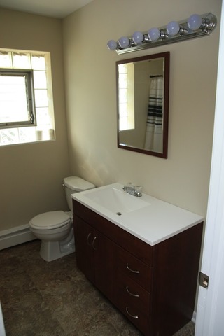 286 Wayne Ct, Bartlett, IL 60103 photo 4