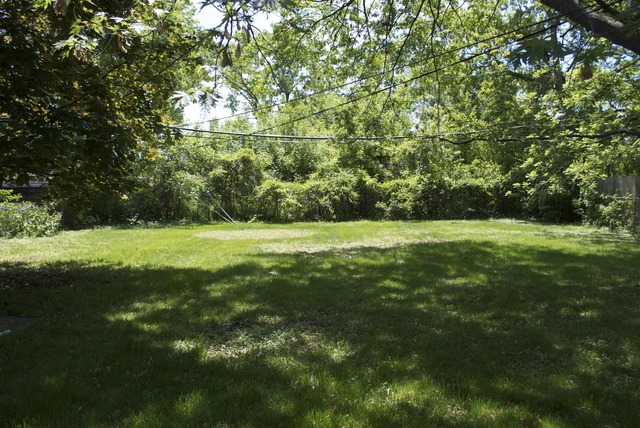 257 E Parallel St, Palatine, IL 60067 photo 20