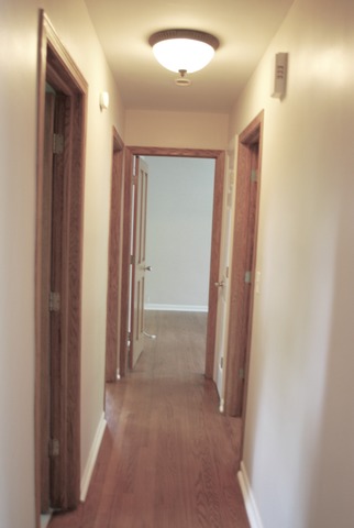 257 E Parallel St, Palatine, IL 60067 photo 14