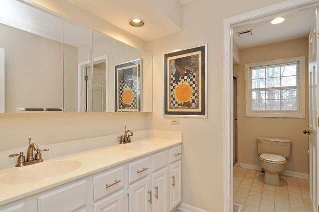 265 Brookside Rd, Barrington, IL 60010 photo 22