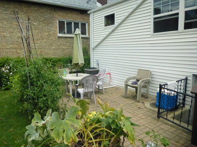 3722 Euclid Ave, Berwyn, IL 60402 photo 20
