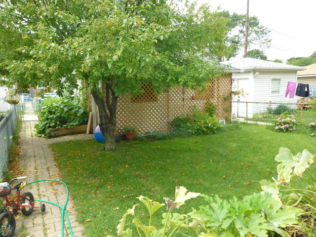 3722 Euclid Ave, Berwyn, IL 60402 photo 21