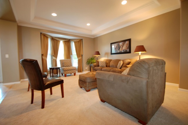 12039 Winterberry Ln, Plainfield, IL 60585 photo 4