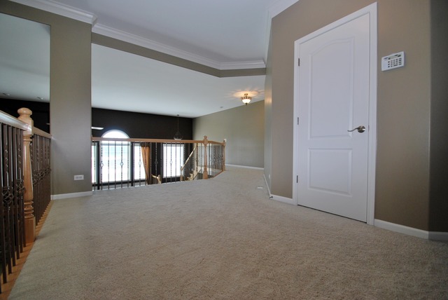 12039 Winterberry Ln, Plainfield, IL 60585 photo 14