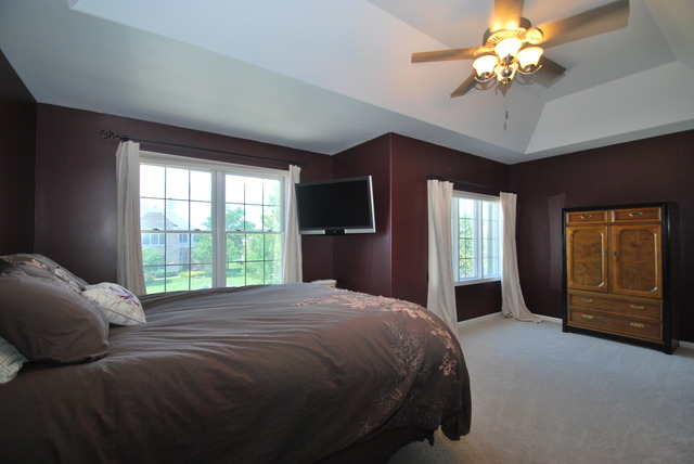 12039 Winterberry Ln, Plainfield, IL 60585 photo 20