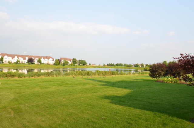 12039 Winterberry Ln, Plainfield, IL 60585 photo 22