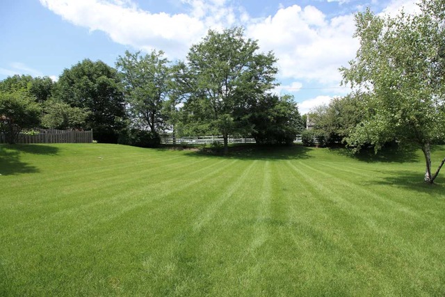 6 Ridgefield Ct, Algonquin, IL 60102 photo 25