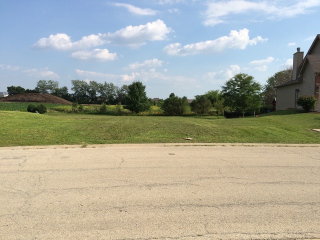 12923 Hawks Bill Ct, Plainfield, IL 60585 photo 1