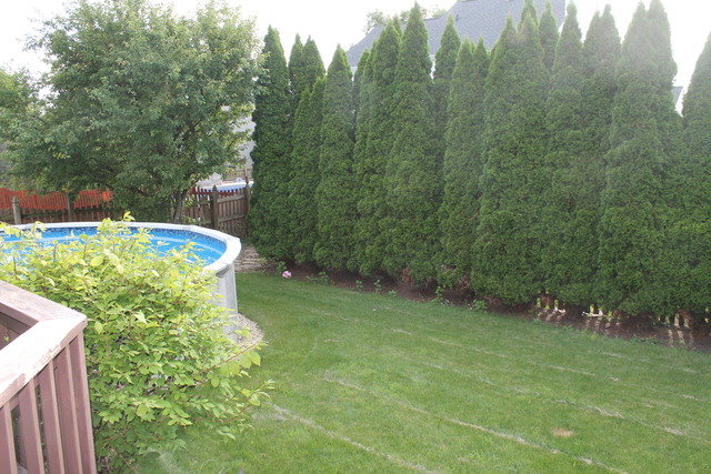 246 Remington Dr, Bartlett, IL 60103 photo 10