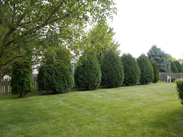 317 W Ashton Dr, Maple Park, IL 60151 photo 12